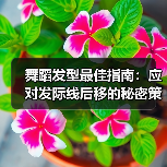 舞蹈发型最佳指南:应对发际线后移的秘密策略(图3) 舞蹈发型最佳指南:应对发际线后移的秘密策略(图3)