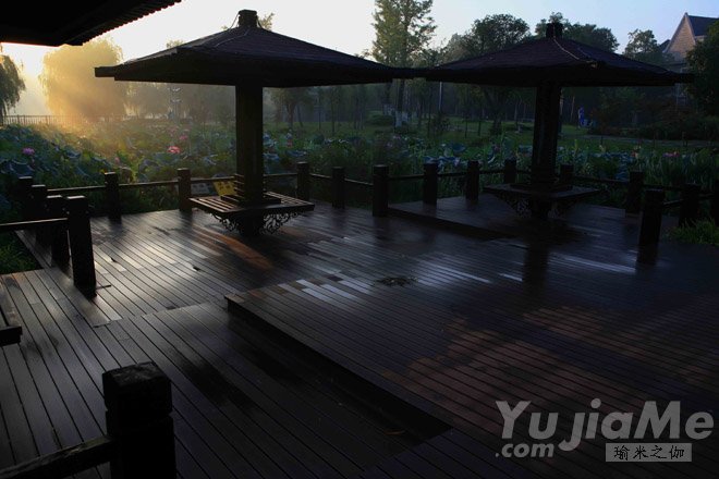 瑜伽与冥想提升免疫力：肩立式、鱼式、深度放松与经络调息，改善褪黑激素与自主神经平衡(图1)