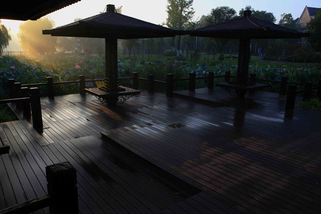 瑜伽与冥想提升免疫力：肩立式、鱼式、深度