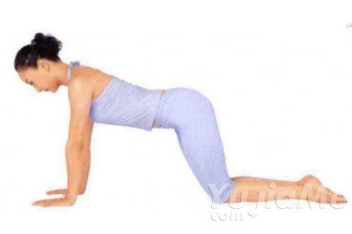 改善呼吸系统-上犬式1