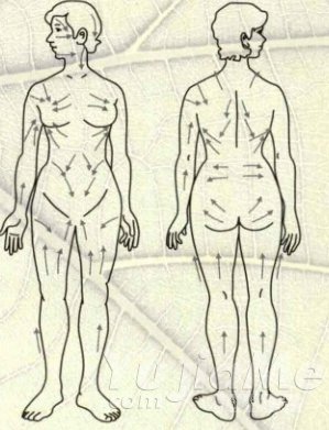 淋巴液的流动图