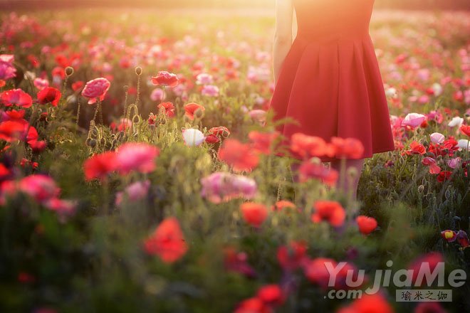 断食理疗案例及小结(图1)