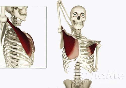 胸大肌紧张与腕关节炎症的瑜伽理疗方法，针对性拉伸缓解肩腕疼痛(图2)