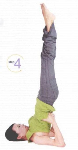 肩倒立式瑜伽动作分解：促进血液循环与体内排毒指南(图4)